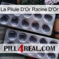 The Golden Root Gold Pill 31